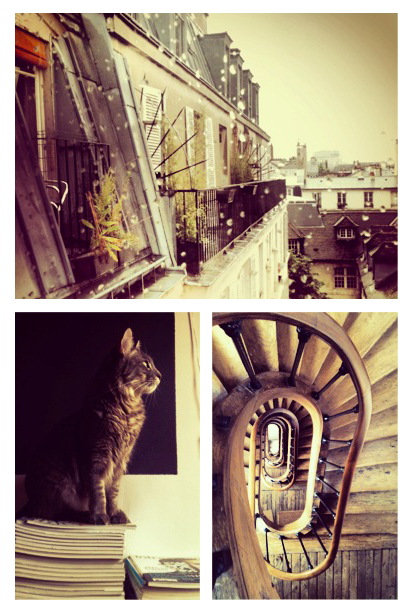 paris-appartement-marais-chat-awayoflooking