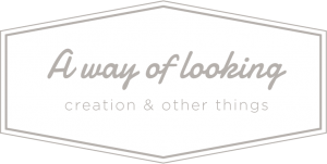 a way of looking Logo